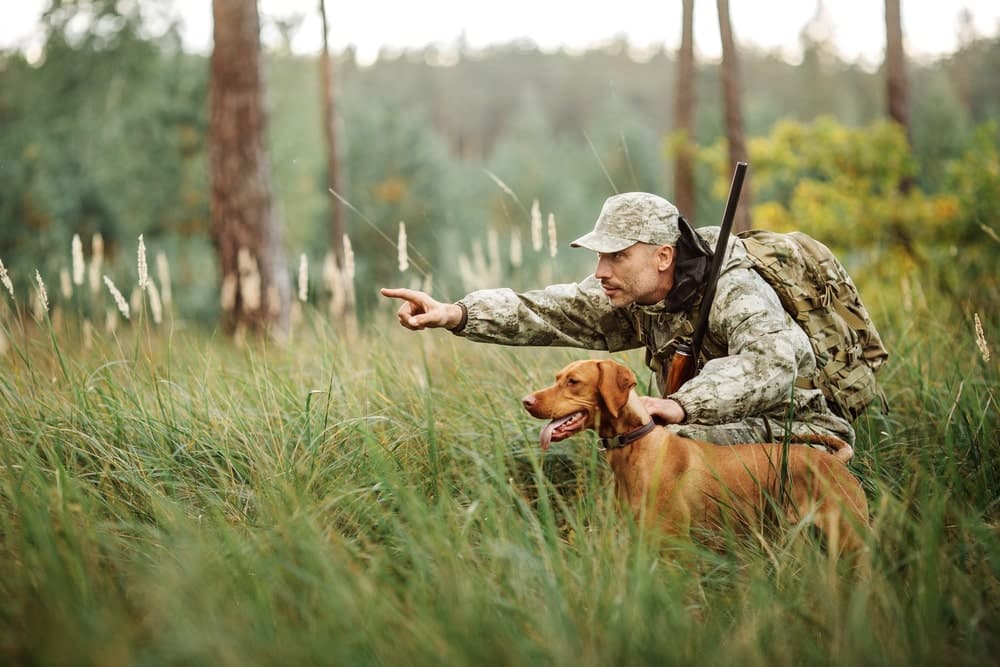 Quelles sont les obligations des chasseurs ?