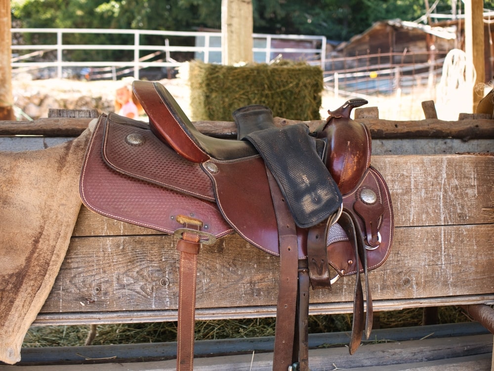 Entretenir son matériel d’équitation en cuir : conseils et astuces