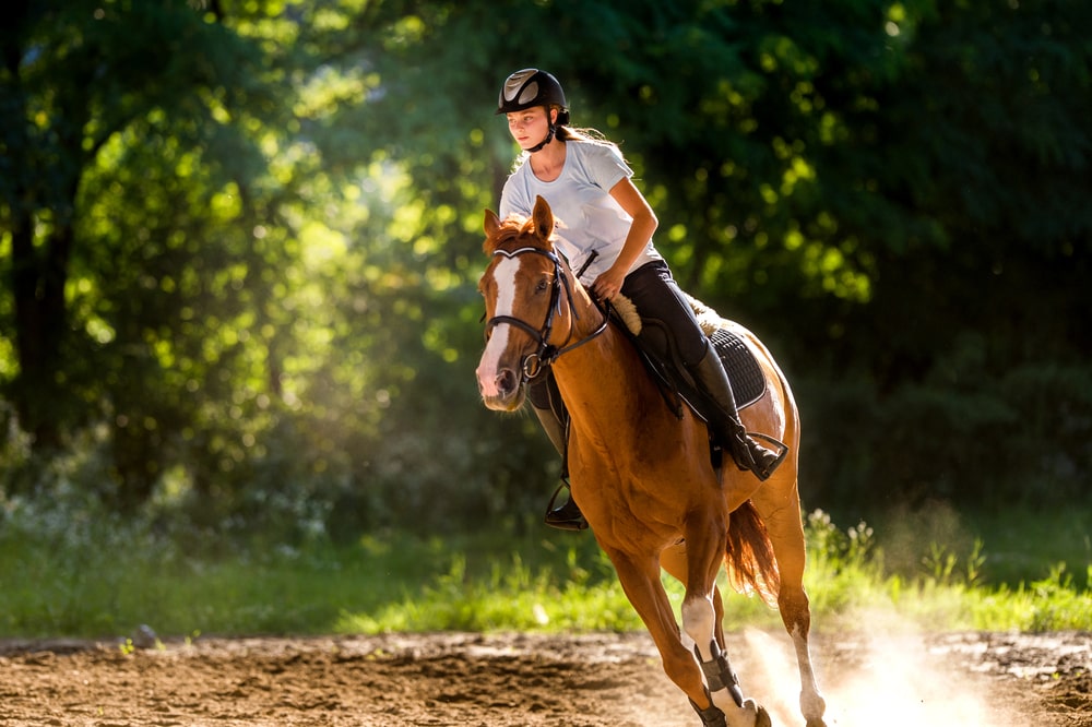 Sécurité et confort : L’importance cruciale d’un bon bridon pour votre cheval!